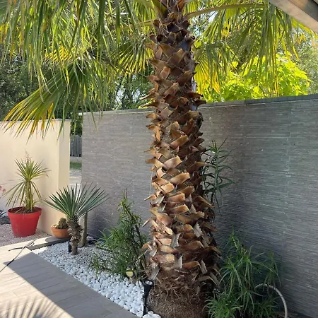 Holiday home St Victorienne *